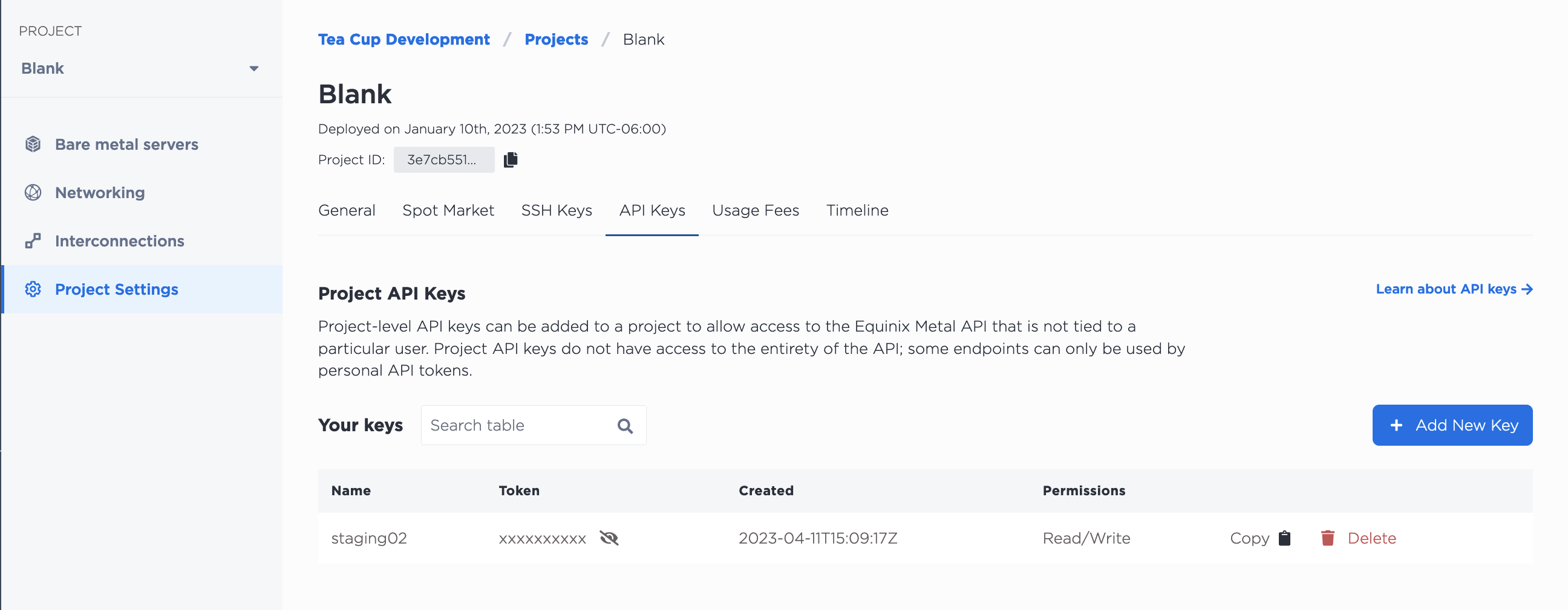 Project API Keys List in the Console