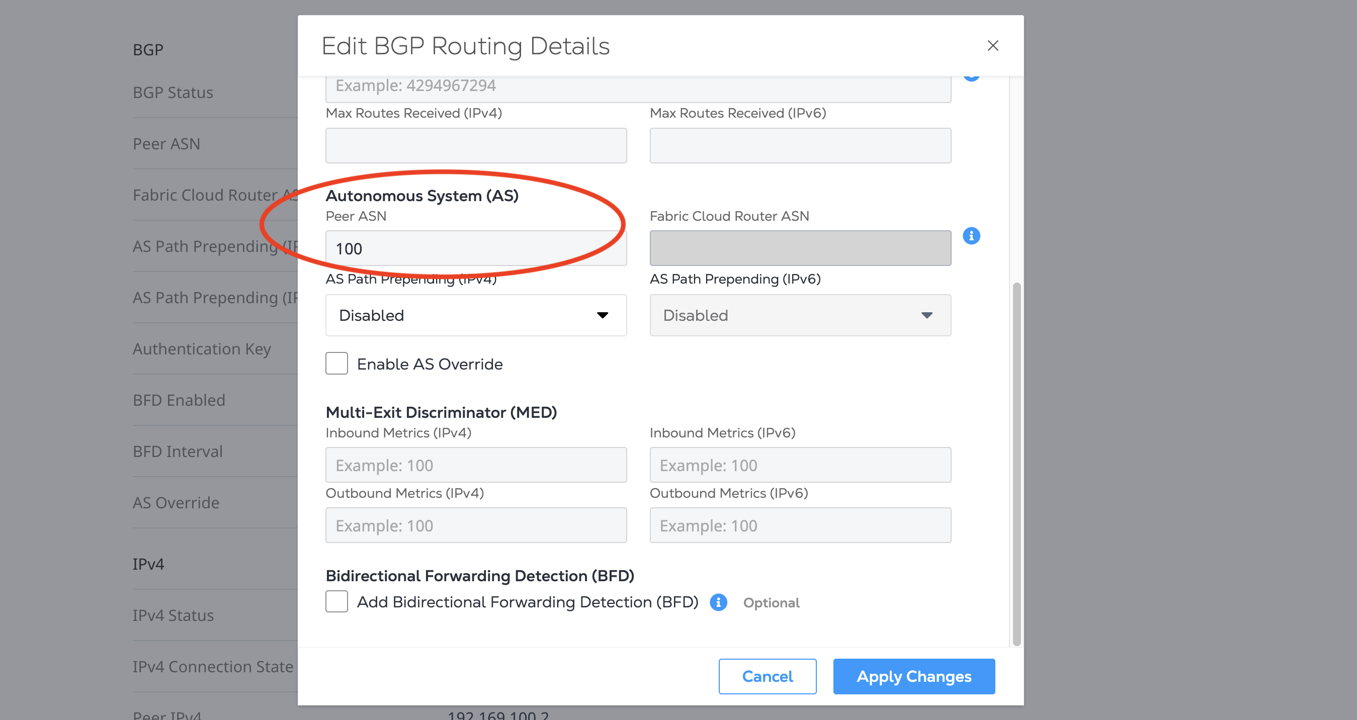Peer ASN Field Screenshot