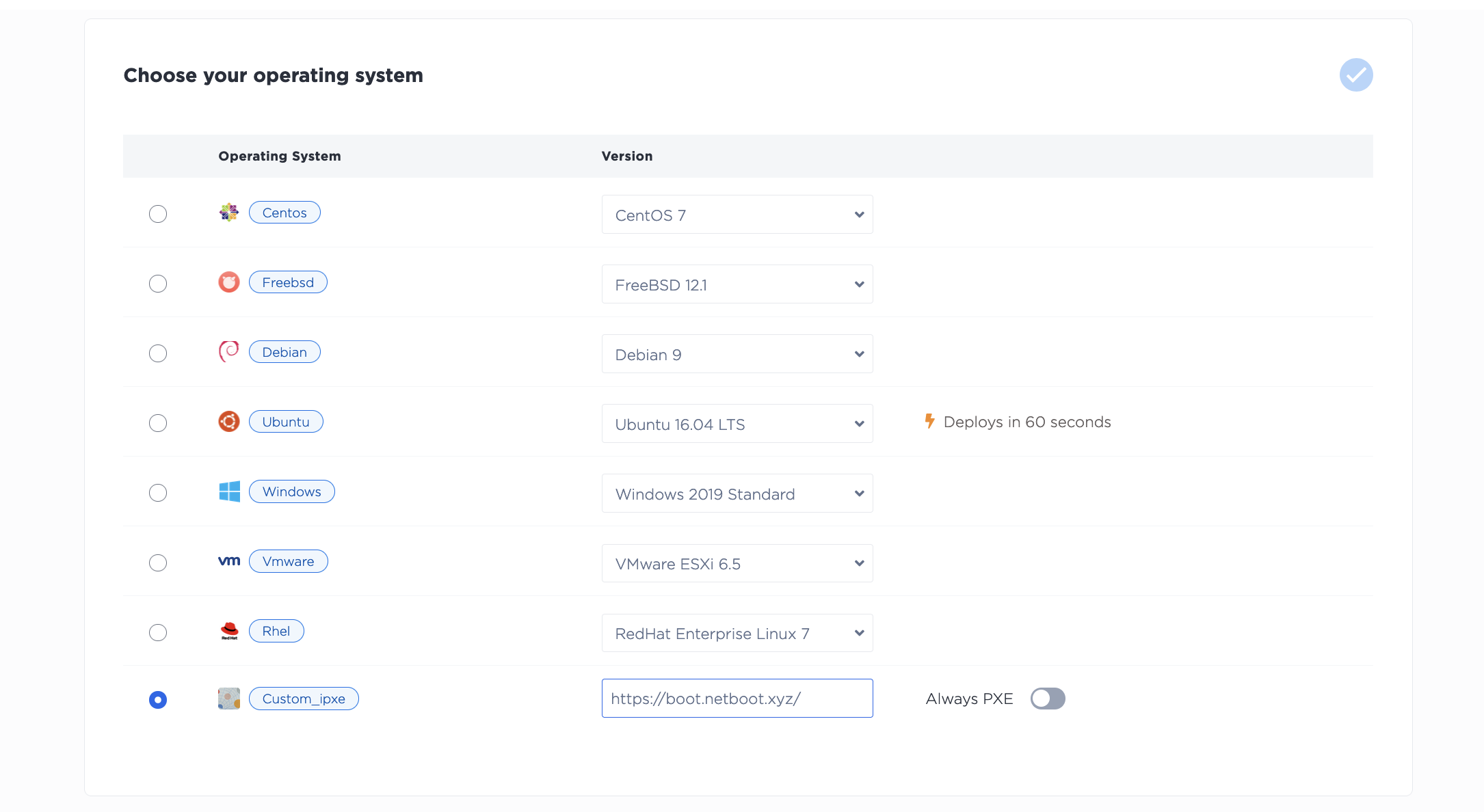Selecting Custom iPXE in the Console