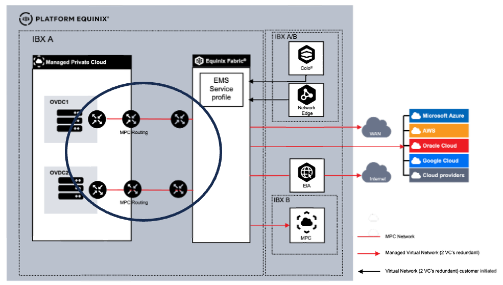 Dedicated Routing per OVDC