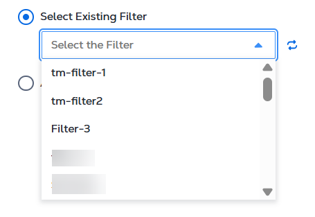 Define mirror filters